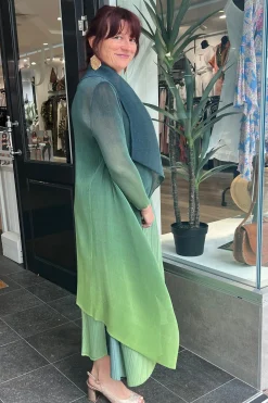 Alquema Maxi - FTO - AQ1