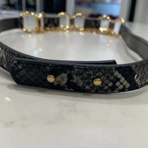 Charcoal Reptilian Belt