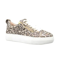 Maize Sneaker - Champagne Leopard - AE18